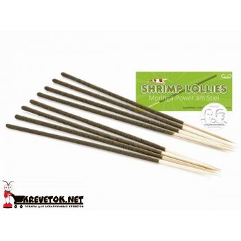 GlasGarten Shrimp Lollies - Moringa stick