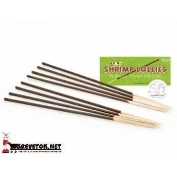 GlasGarten Shrimp Lollies - Walnut stick