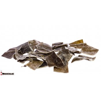 GlasGarten Algae Chips