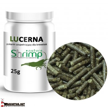 ShrimpNature Lucerna